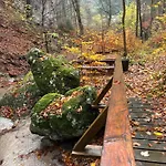 Ruhepol In Den Voralpen Waldegg