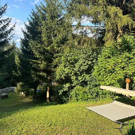 Ruhepol In Den Voralpen * Waldegg