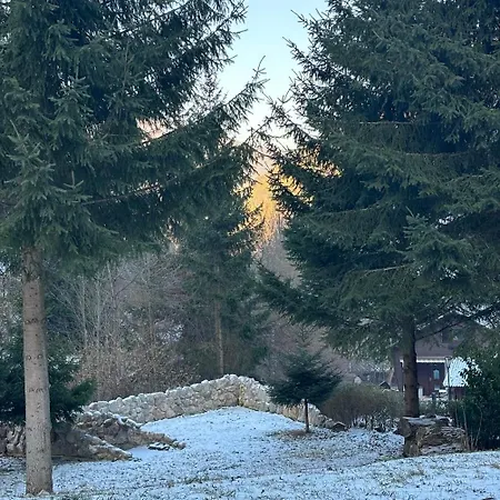 Ruhepol In Den Voralpen *