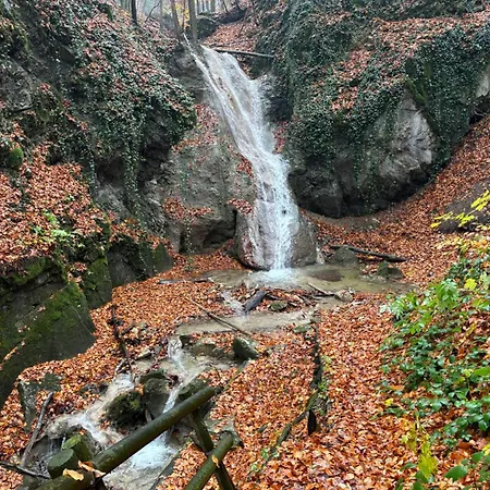 Ruhepol In Den Voralpen Lejlighed *