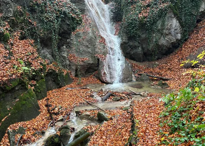 Ruhepol In Den Voralpen Apartment *