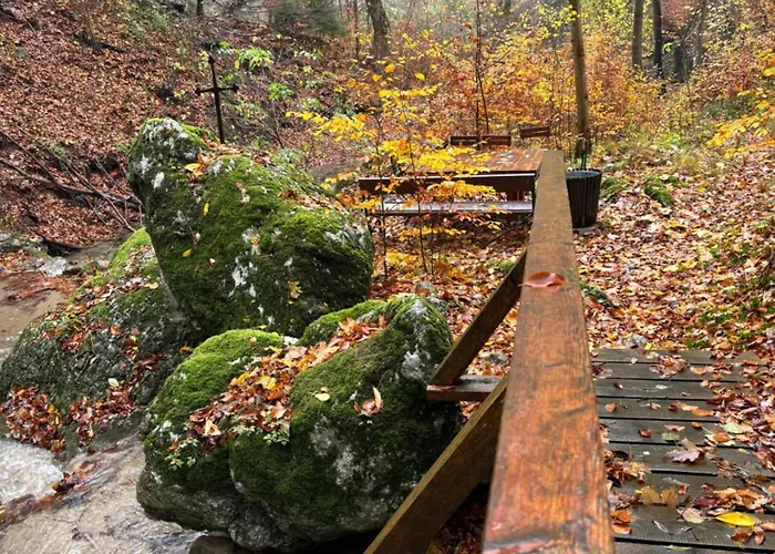 Ruhepol In Den Voralpen Waldegg